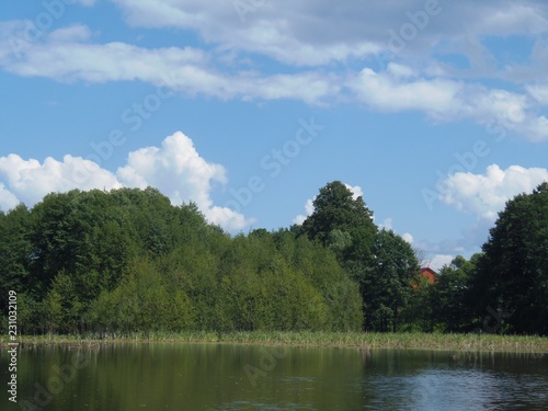 Russia, Ryazan region, Drying village, lake, forest and sky