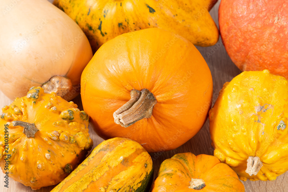 Different pumpkins lying on a wooden table Different pumpkins lying on a wooden table