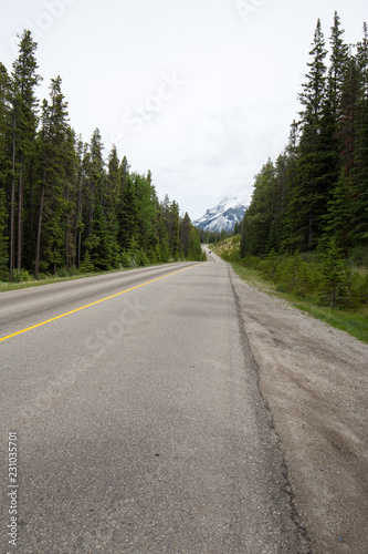 Amazing road to Banff © Nicolas
