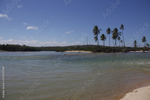 Beautiful meeting of the river and the beach with a clear sky and calm and very transparent water