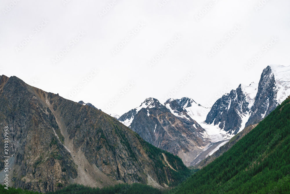 Snowy mountain top behind hill with forest under cloudy sky. Rocky ridge in overcast weather. White snow on glacier. Atmospheric landscape of majestic nature.