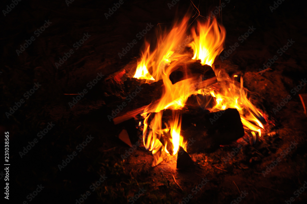 Burning fire of wood on a dark background