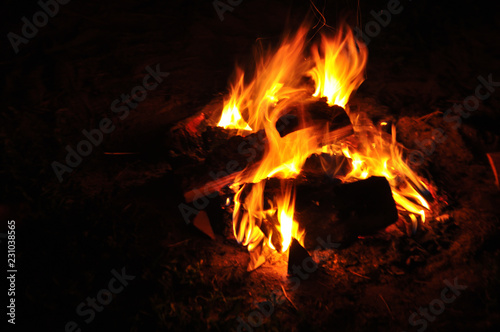 Burning fire of wood on a dark background
