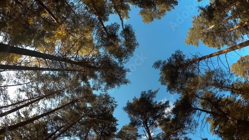 The cycle in the autumn forest