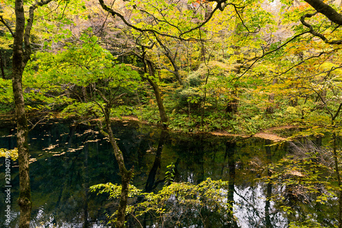 Lake pond in autumn season © leungchopan