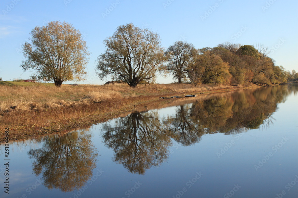 Obraz premium Goldener Oktober an der Elbe bei Riesa
