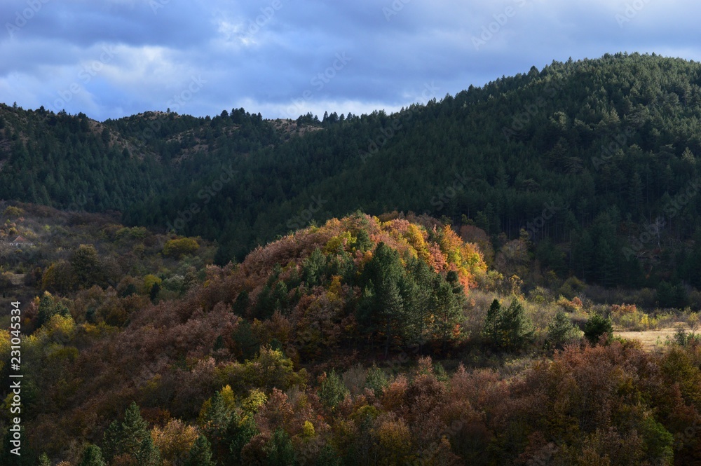 landscape in autumn colors
