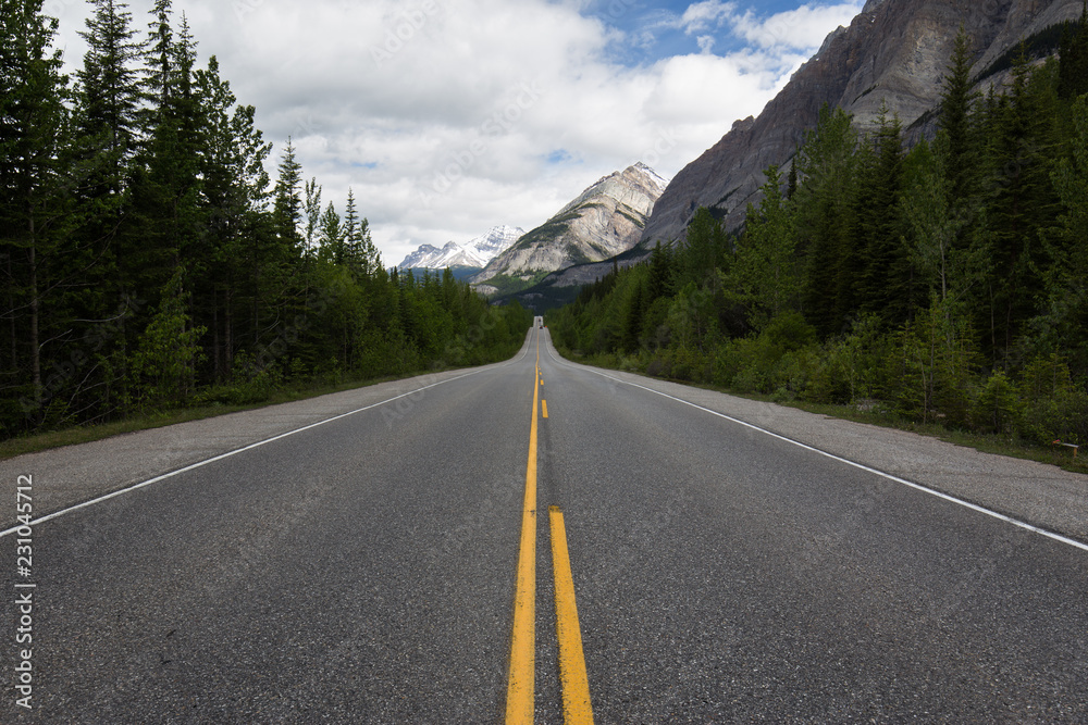 Fototapeta premium road in the mountains