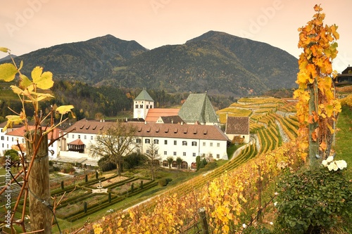 Novacella Monastery with vineyards during autumn season. Located in Varna, Bolzano, Trentino Alto-Adige, Italy © Dan74