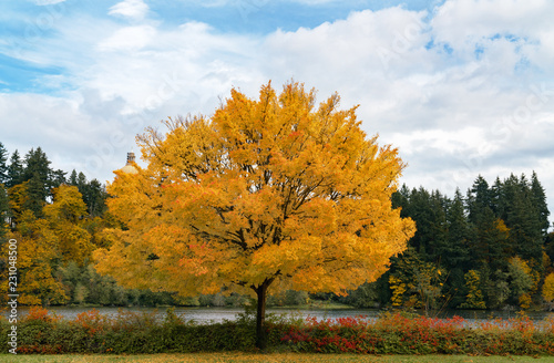 Autumn Colors Washington State