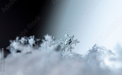 snowflake in the snow, winter