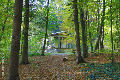 Tempel im Wald photo