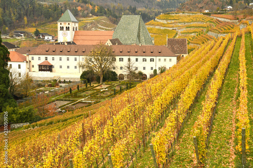 Novacella Monastery with vineyards during autumn season. Located in Varna  Bolzano  Trentino Alto-Adige  Italy
