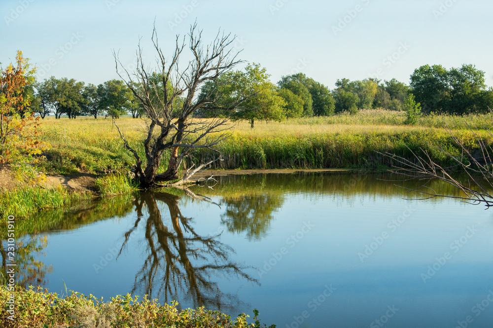 Fototapeta premium Beautiful autumn morning by the Lake. nature walk. Autumn landscape.