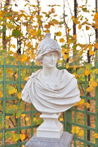 Statue of Alexander the Great in Summer Garden. photo