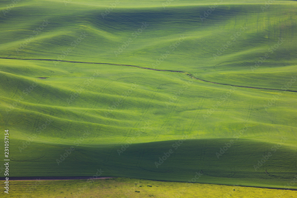 Obraz premium landscape with green field 