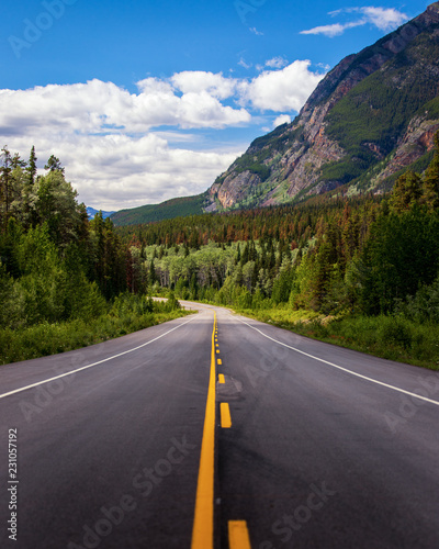 Tree-Line Mountain Road through Alberta Rocky Mountains