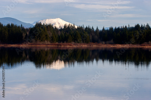 lake in the forest