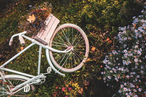 Old bicycle in the garden with flowers box