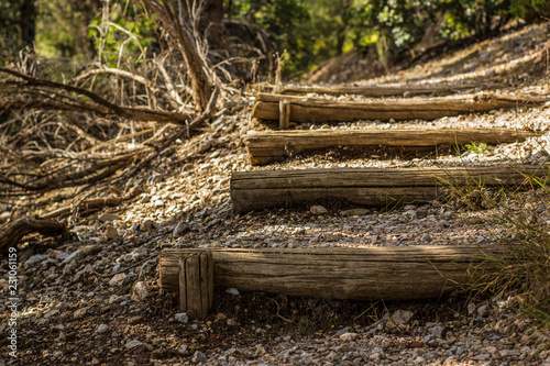 wooden stairs path way in park outdoor nature place for walking between trees in dry warm summer weather