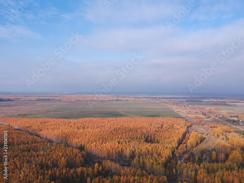 Autumn forest from a height