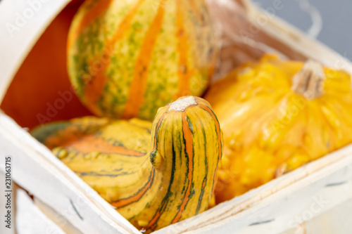 Different pumpins in a basket on a table photo