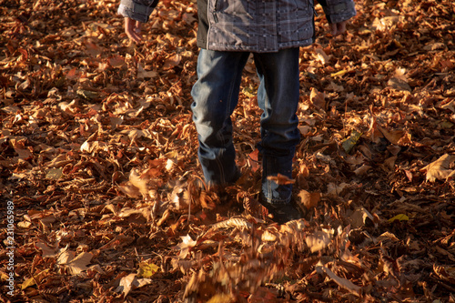 Boy roams through high colored foliage