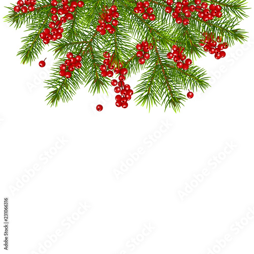 Christmas decoration with fir tree branches red berries, isolated on white background.