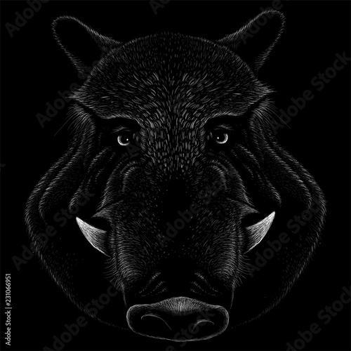  The Vector logo pig for T-shirt design or outwear.  Hunting style pig background. Pork pig porkus  photo