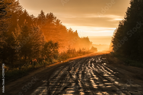 Gravel road in the Russian forest at sunset
