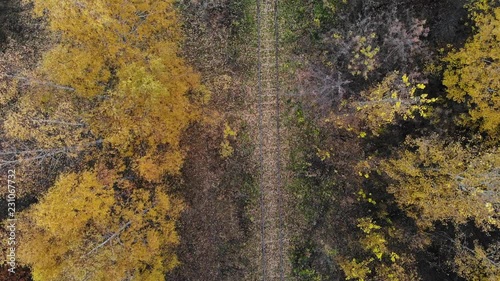 Wallpaper Mural Flying over the railway that passes through the forest. Autumn. Aerial view. 4K Torontodigital.ca