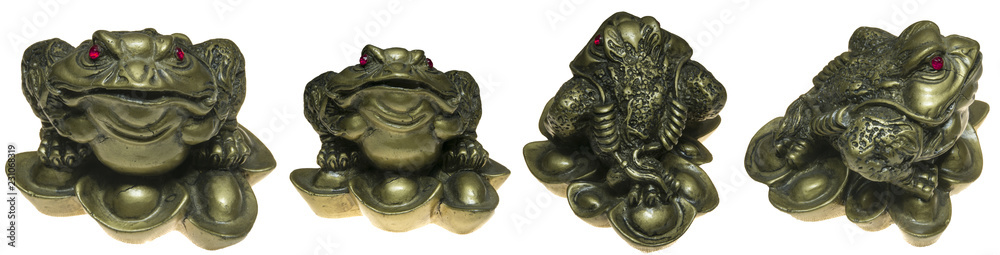 Money frog isolated. 3d White background