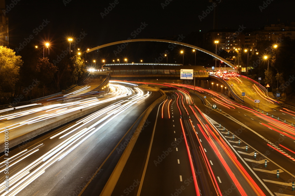 nocturna nocturna