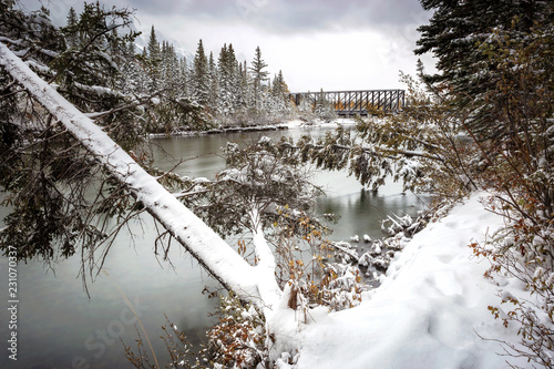 Snow covered river bank with fallen tree and Train bridge