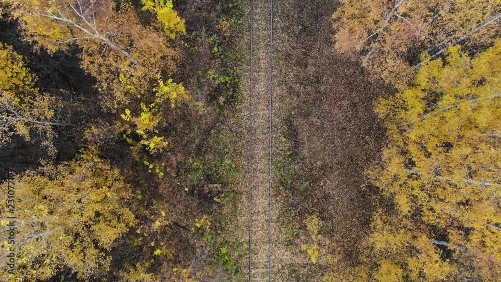 Flying over the railway that passes through the forest. Autumn. Aerial view. The camera goes up. 4K Flying over the railway that passes through the forest. Autumn. Aerial view. The camera goes up. 4K