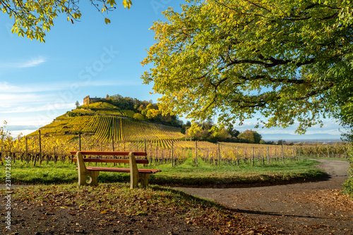  Burg Staufen im Breisgau photo