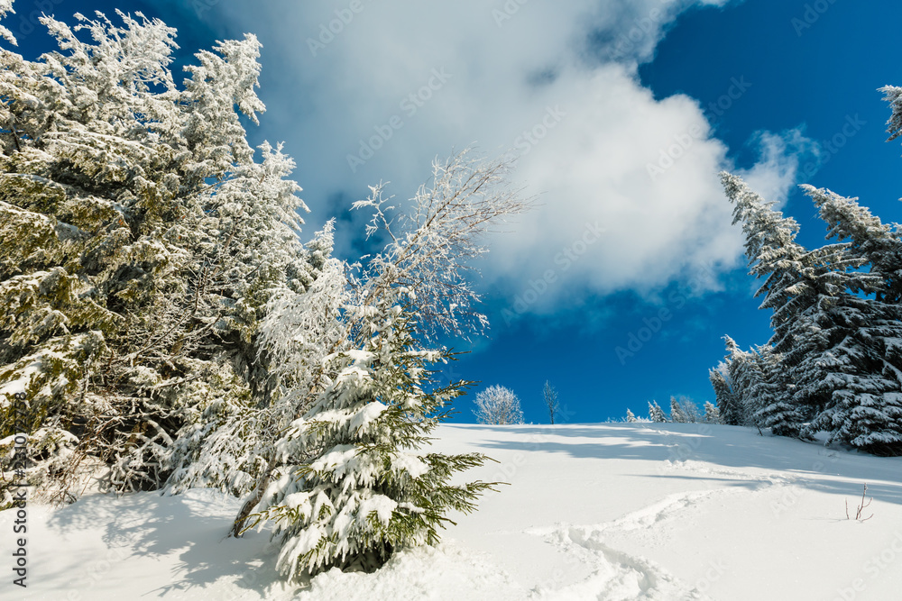 Winter mountain snowy landscape