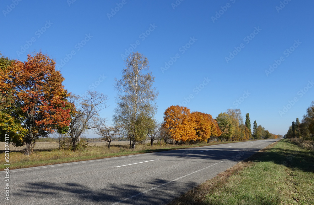 Road on a sunny autumn day.