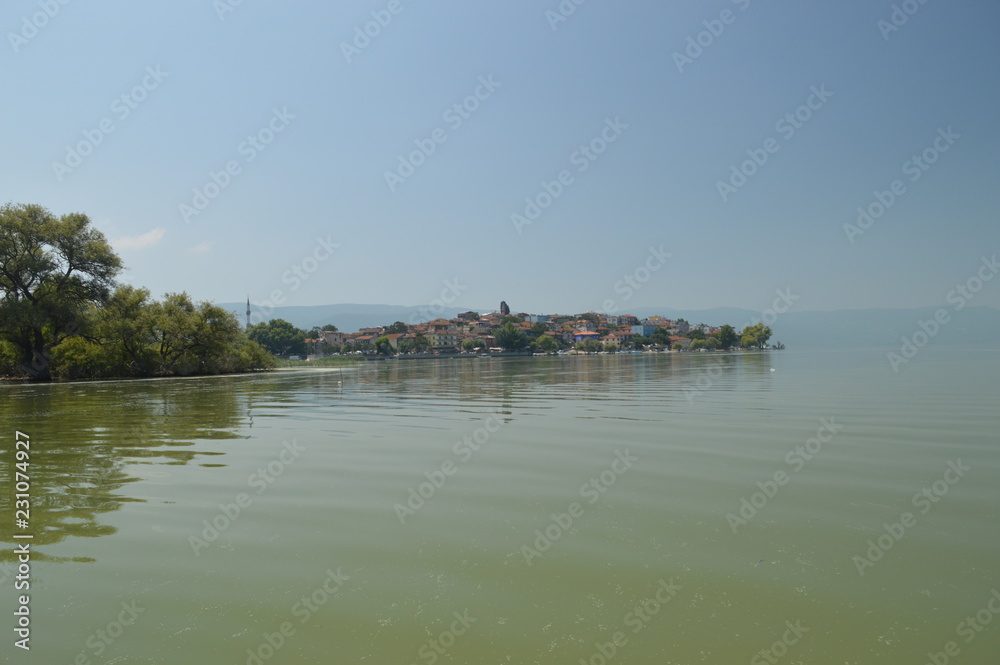 landscape with river and trees