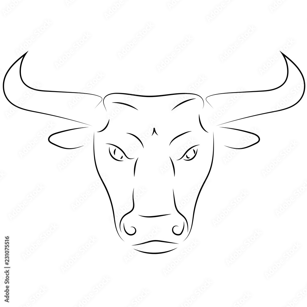 Linear Drawing Bull's Vector & Photo (Free Trial) | Bigstock