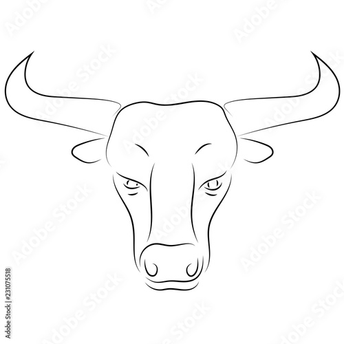 Black line bull head on white background. Hand drawing vector. Sketch style graphic animal.