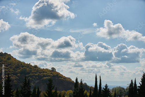 Mountain forest landscape with clouds, blue sky and green trees. wildlife.