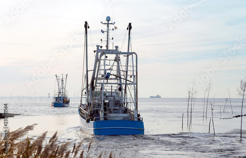 Flotte der Krabbenkutter läuft aus zum Krabbenfang an der Nordseeküste, Wremen bei Bremerhaven in Norddeutschland photo