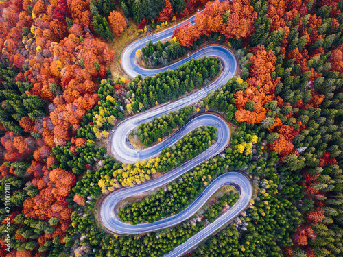 Winding road from high mountain pass, in autumn season, with orange forest. Aerial view by drone. Romania