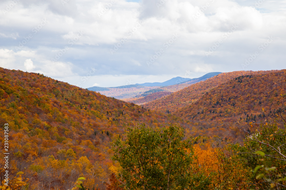 NH White Mountains In Autumn