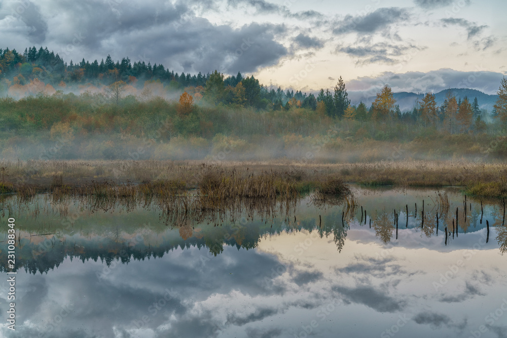 Fog On The Beaver Pond Fog On The Beaver Pond