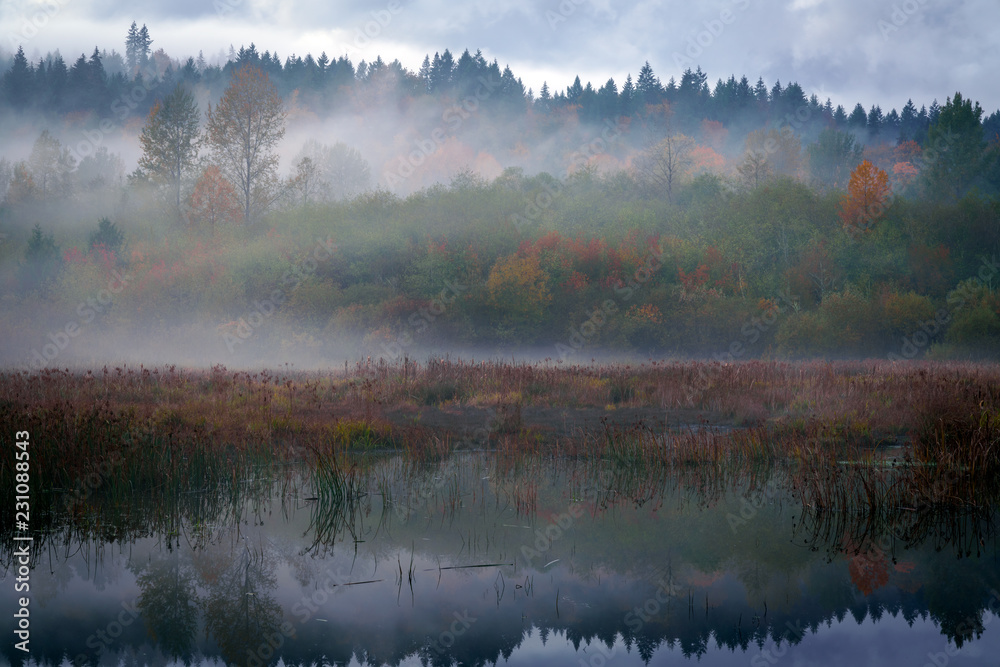 Fog On The Beaver Pond Fog On The Beaver Pond
