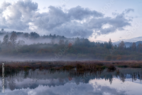 Fog On The Beaver Pond