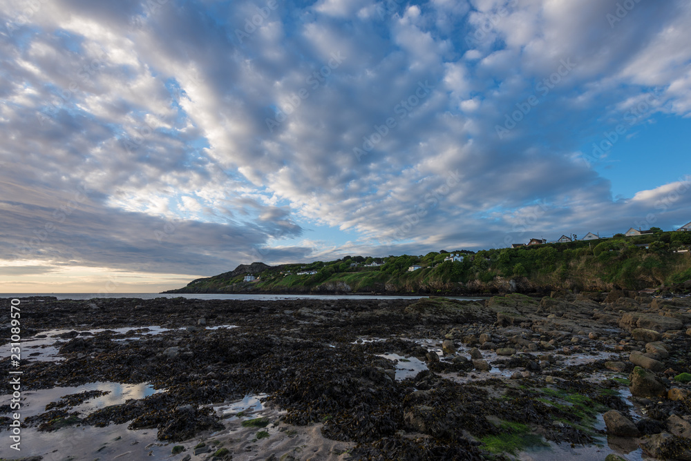 Naklejka premium dublin low tide