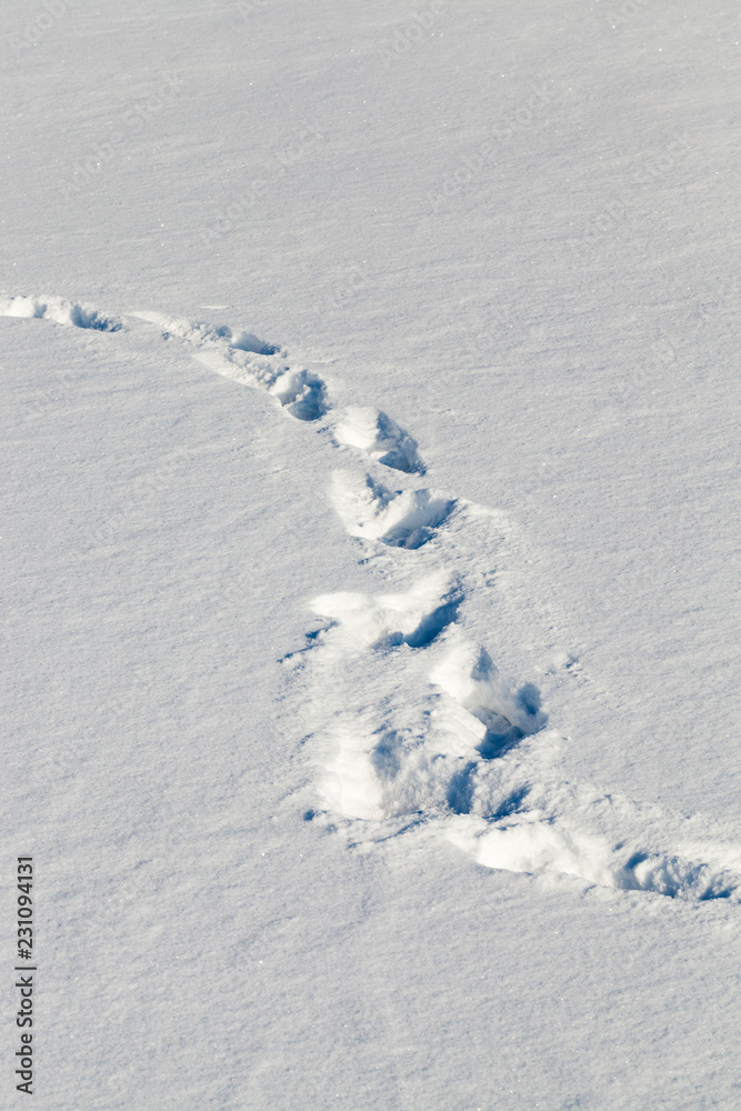 trace snow trace snow